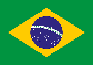 Bandera Brésil, RT, flagge, flag, brazil, rt, Fil-info-France, jabuticaba