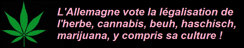 Le gouvernement allemand approuve un projet visant à libéraliser les règles sur la possession et la vente de cannabis