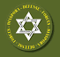 Diaspora Defense Forces : Mouvement de défense de la diaspora