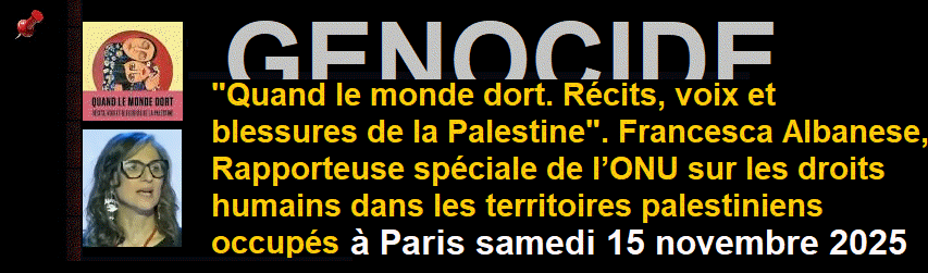 Rapporteuse spéciale des Nations unies pour les territoires palestiniens occupés, Francesca Albanese