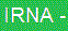 Agence de presse de la République islamique ( IRNA )