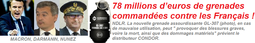 Grenade GL-307 : Nouvelles grenades assourdissantes pour les Français !